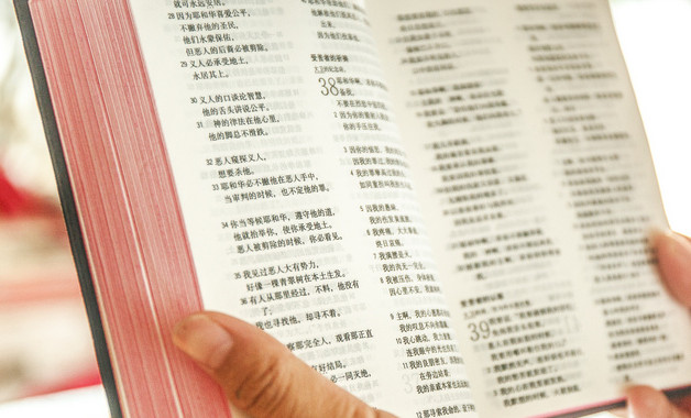 送給爸爸生日的祝福語(yǔ)（精選
534句）