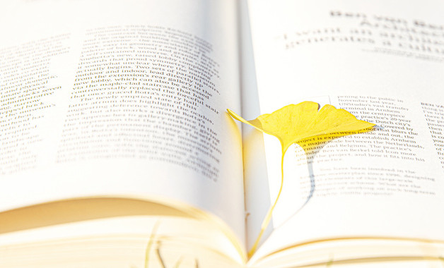 麻醉藥品管理制度包括哪些內(nèi)容（29篇）